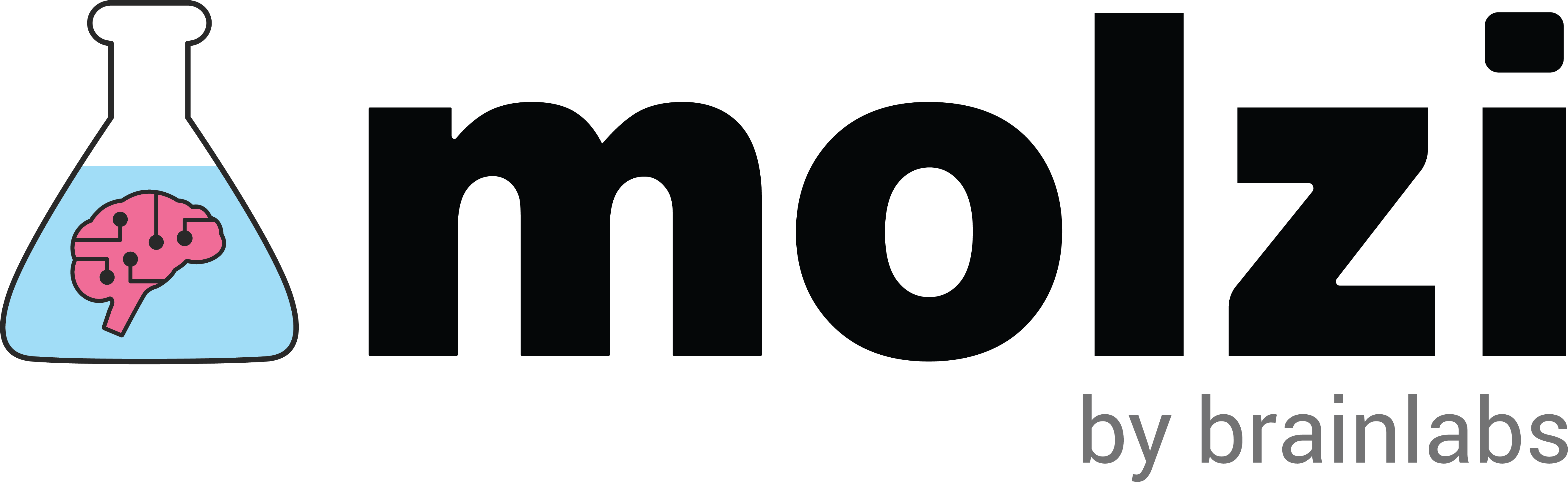 Molzi Logo Black
